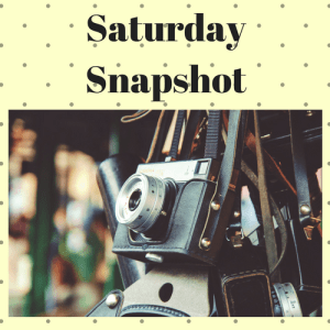 SaturdaySnapshot