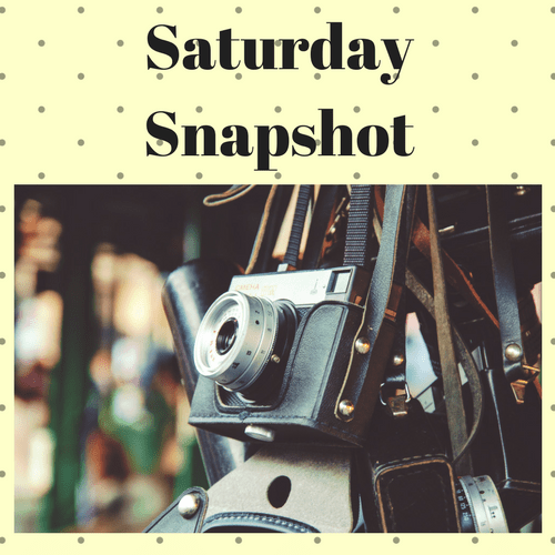 SaturdaySnapshot