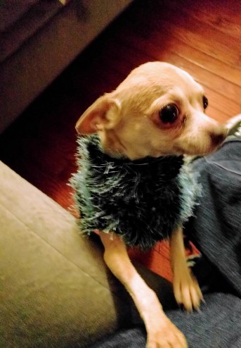 IMG_20180201_190933 (1)