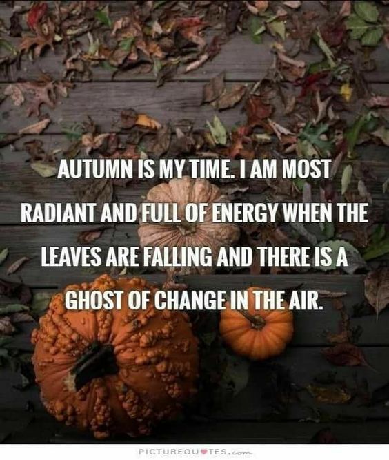 d121597845c054dd0477090ba394fbec