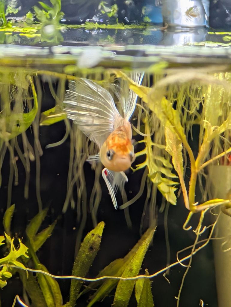 pxl_20250115_1352180662416764832640500424